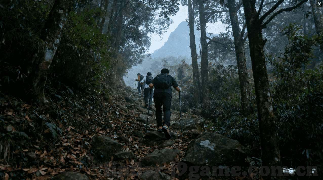 开云体育下载app-开云体育下载app，一场迅速崛起的数字体育盛宴